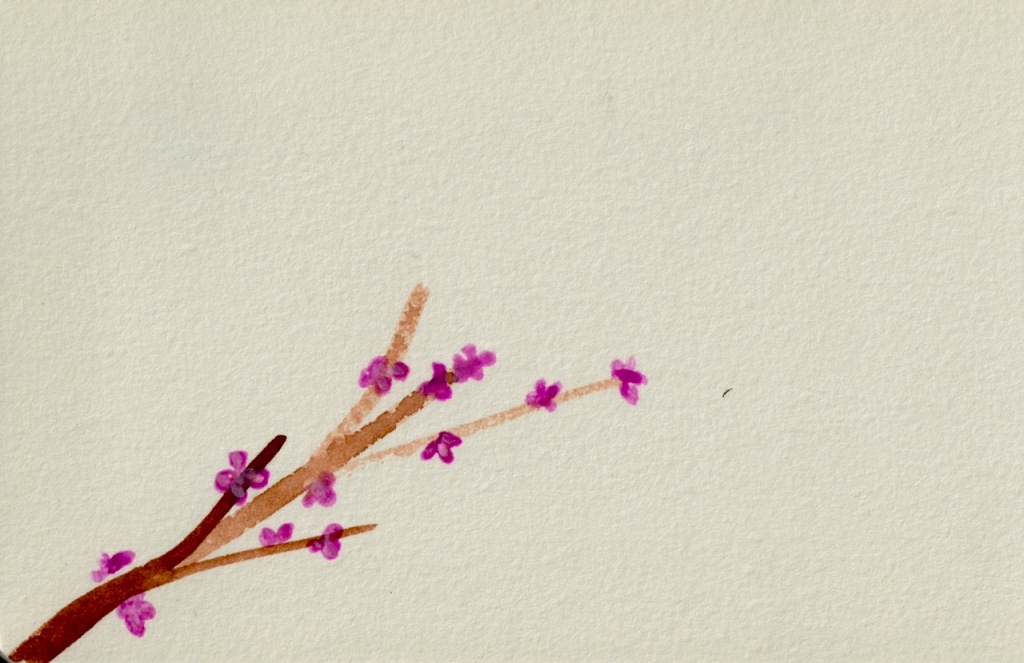 Vintage Sketch Book Series: Dogwood (?) Blossoms (circa 2012) 