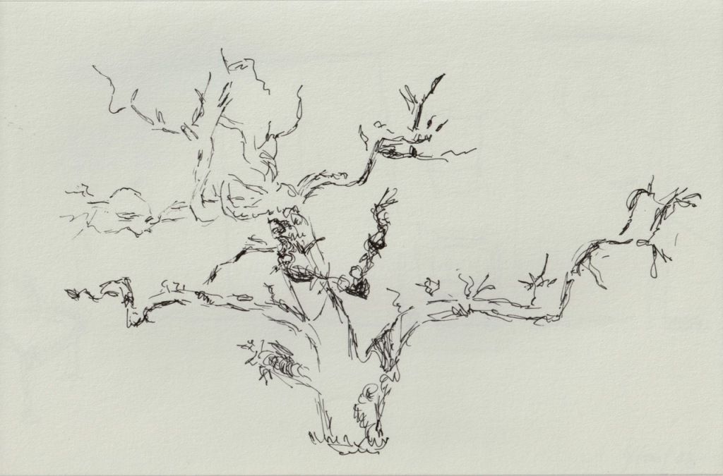 Vintage Sketch Book Series: Gnarly Tree (June 2008) 