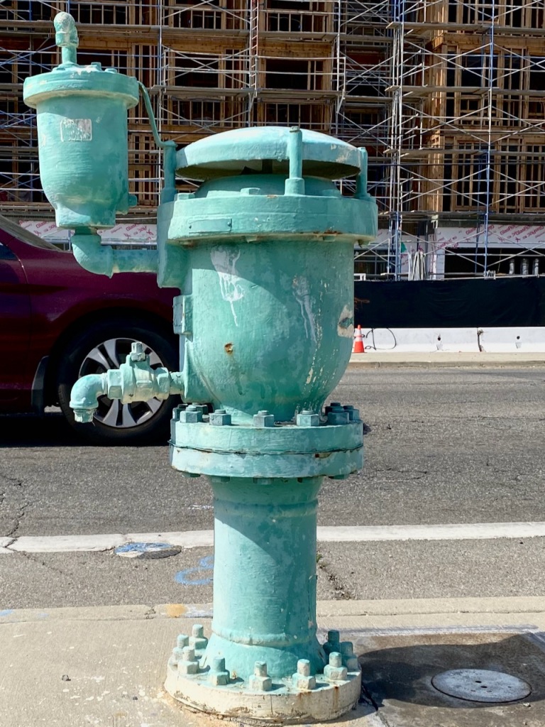 Street Photography: Fire Hydrant with Airs 
